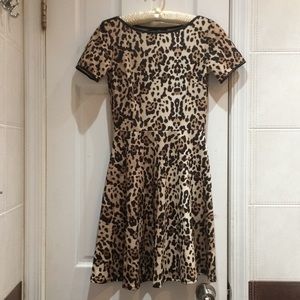 Dorothy Perkins Leopard Print Dress